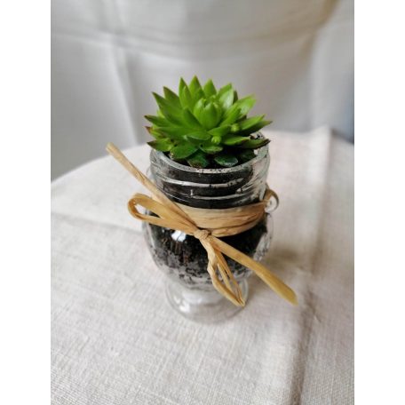 Kövirózsával készült köszönőajándék esküvőre