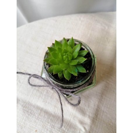 Köszönőajándék esküvőre kövirózsás