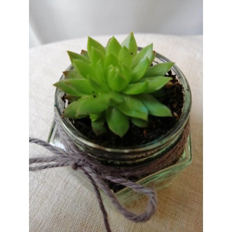 Köszönőajándék esküvőre kövirózsás