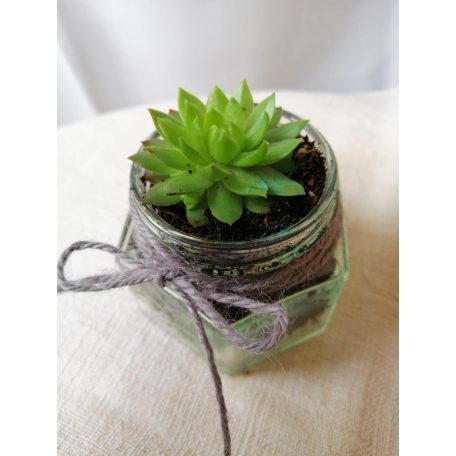 Köszönőajándék esküvőre kövirózsás